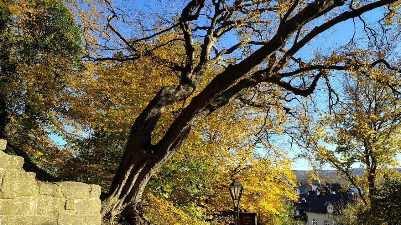 Ferienwohnung Panoramahaus Sauerland Arnsberg Exterior foto