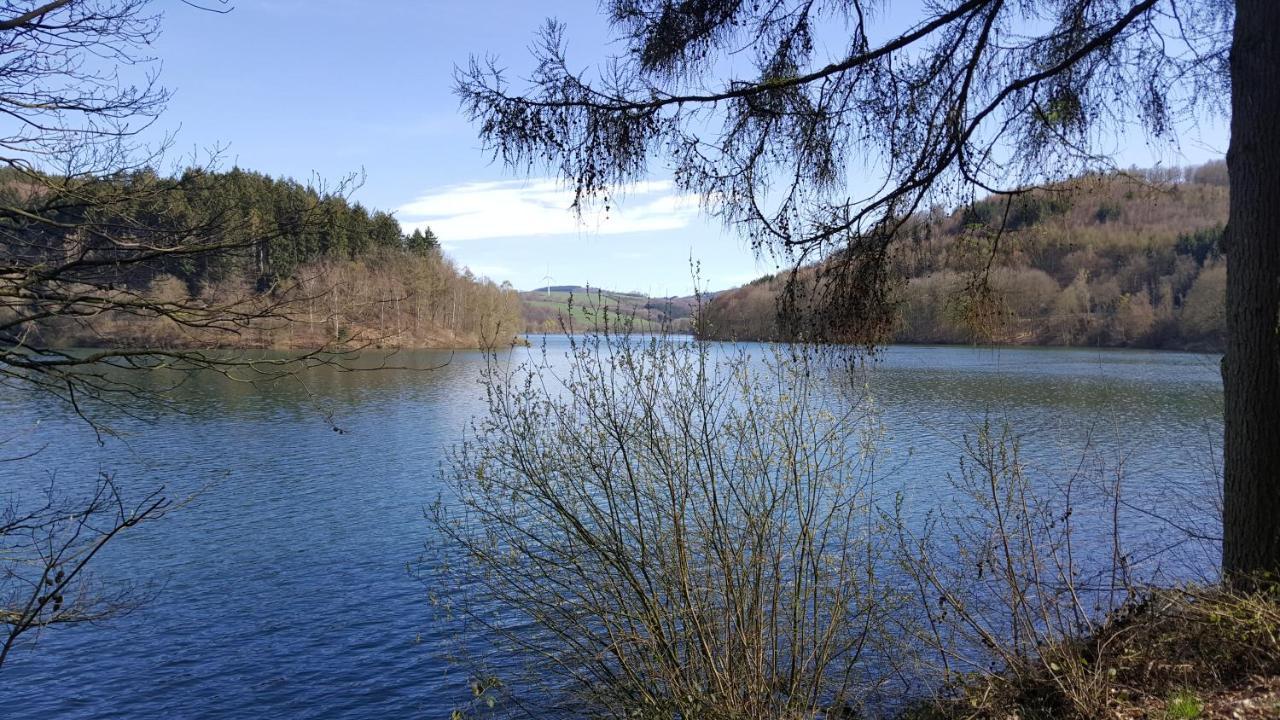 Ferienwohnung Panoramahaus Sauerland Arnsberg Exterior foto